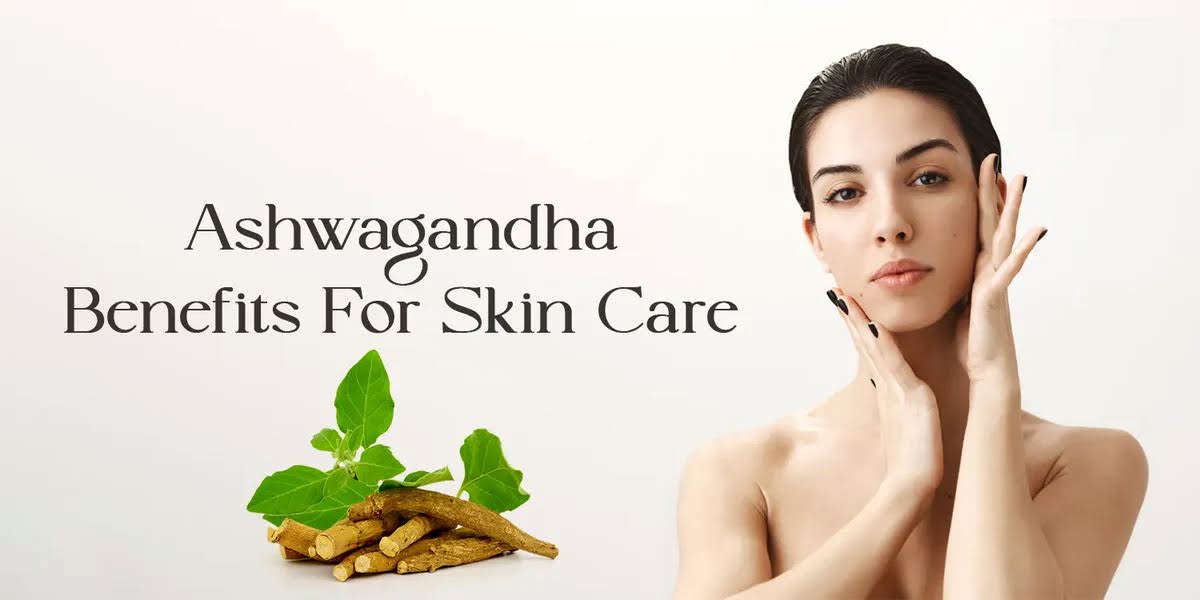 देखभाल: त्वचा की केयर के लिए इस्तेमाल करें अश्वगंधा, मिलेंगे ये 5 चमत्कारिक लाभ..