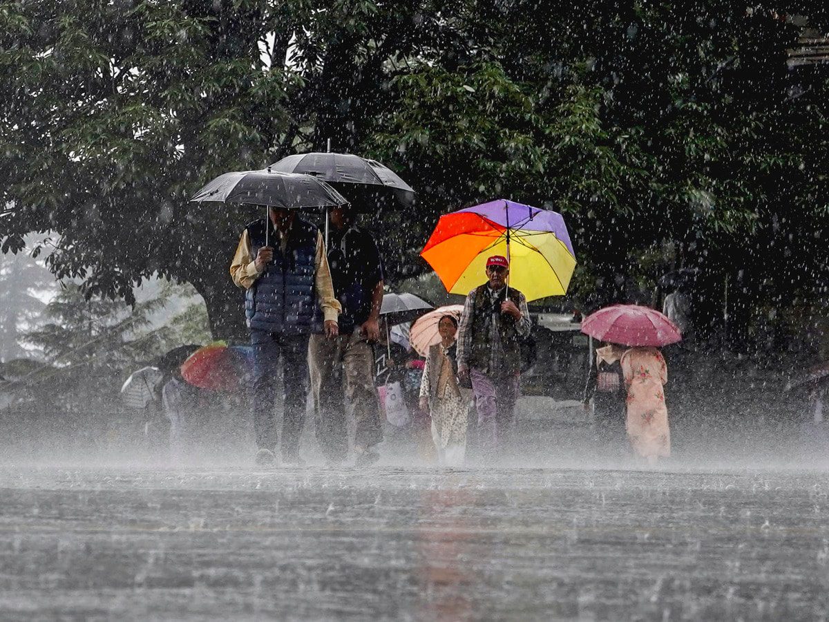 मौसम: आम लोगों और पशुओं के लिए चुनौतियां पैदा कर रही बारिश, फसलों के लिए फायदेमंद है फायदेमंद