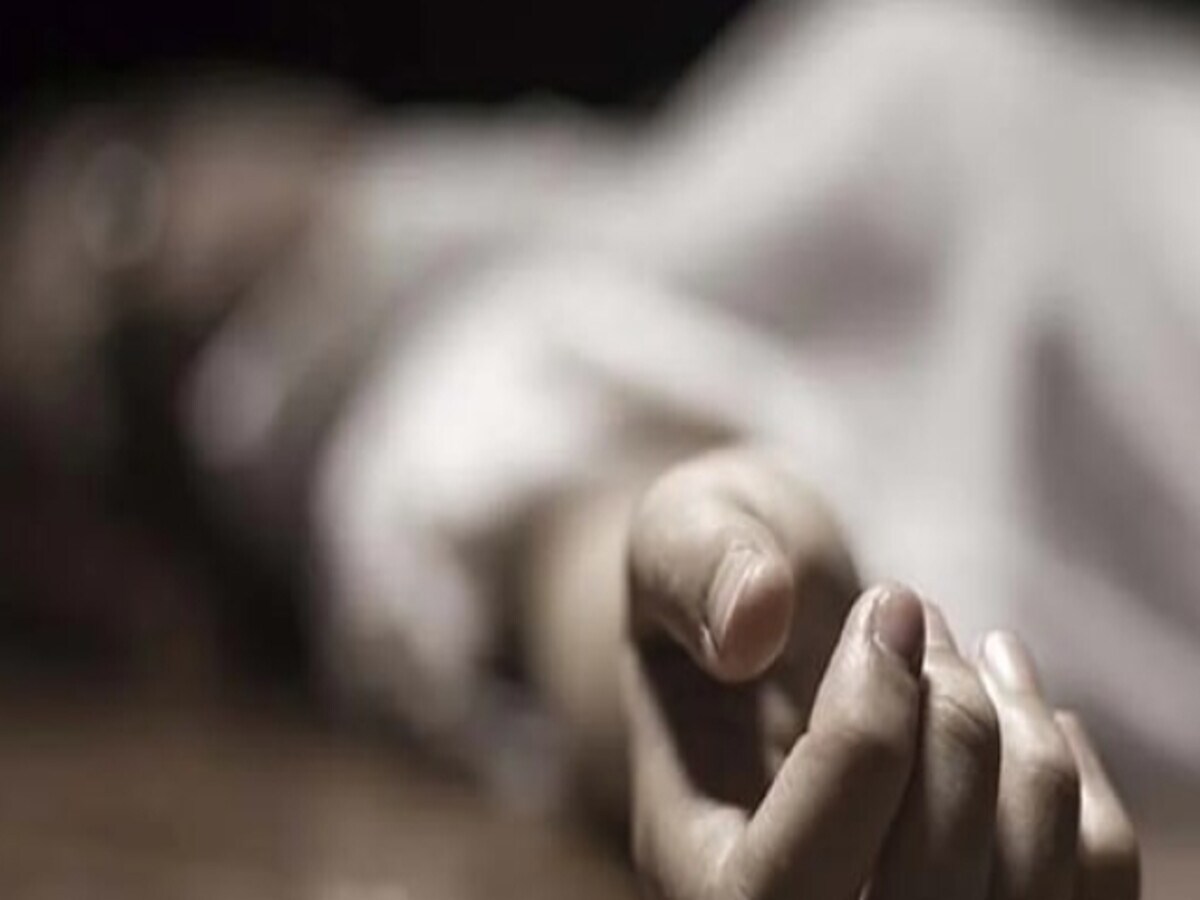 दुखद: सड़क हादसे में महिला की दर्दनाक मौत, फार्मासिस्ट के पद पर सेवारत थी मृतका
