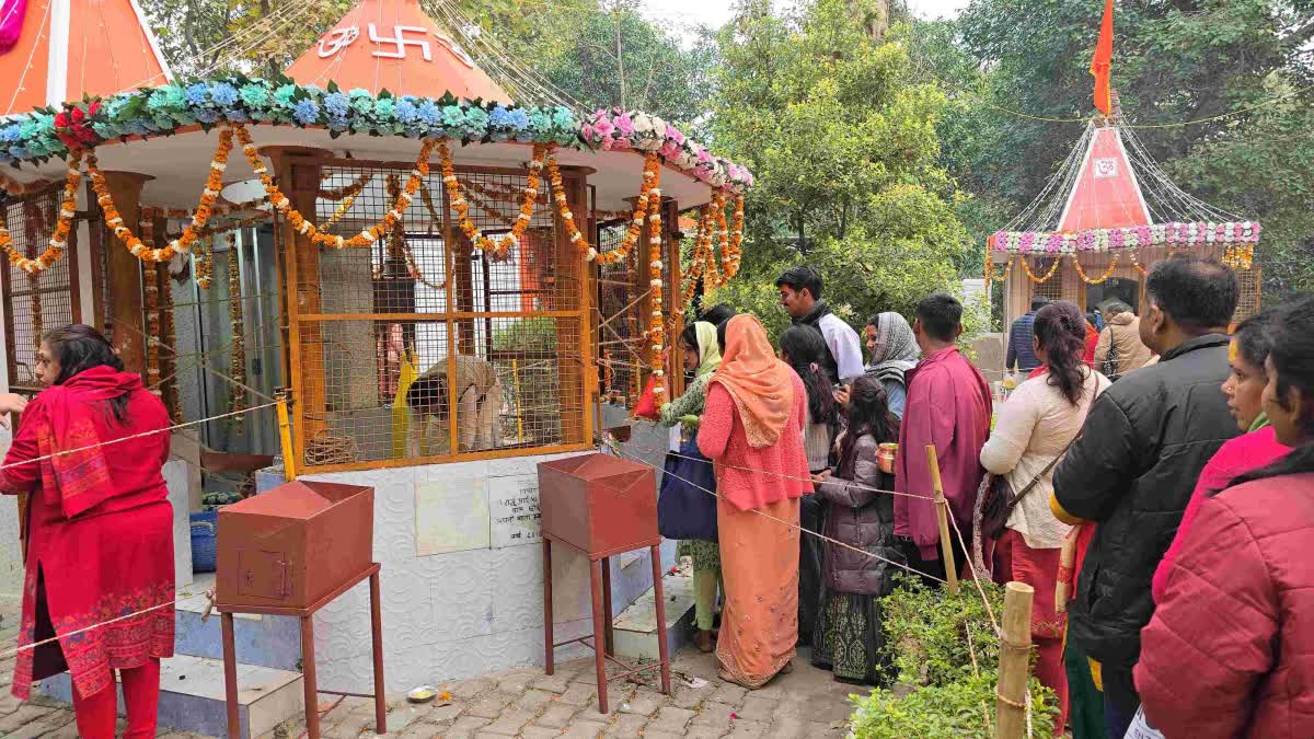 आस्था: प्रदेशभर में महाशिवरात्रि की धूम,बम बम महादेव के जयघोष से गूंजे शिवालय