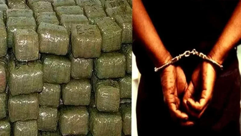 कामयाबी: अलग-अलग मामलों में पुलिस ने दबोचे दो नशा तस्कर, कब्जे से गांजा व चरस बरामद