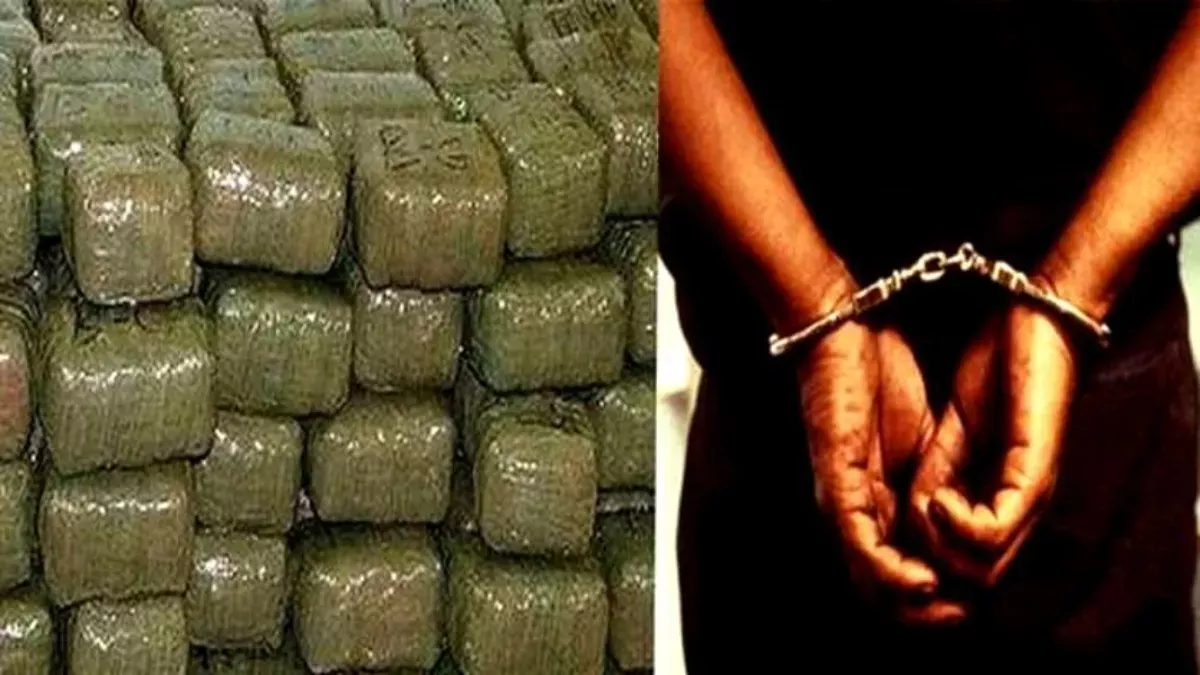 कामयाबी: अलग-अलग मामलों में पुलिस ने दबोचे दो नशा तस्कर, कब्जे से गांजा व चरस बरामद