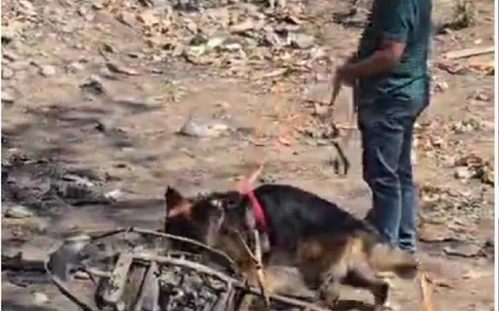 कामयाबी: रहस्यमय परिस्थितियों में लापता छात्र दिल्ली से बरामद, परिजनों ने ली राहत की सांस