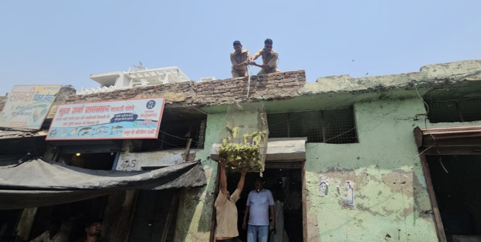 वन विभाग ने मारा छापा,कई प्रतिबंधित पक्षी बरामद