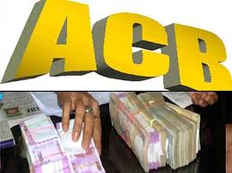 एक्शन:अपने ही अधिकारी पर एसीबी का शिकंजा, छापेमारी में 48.85 लाख की नकदी, शराब और संदिग्ध दस्तावेज बरामद