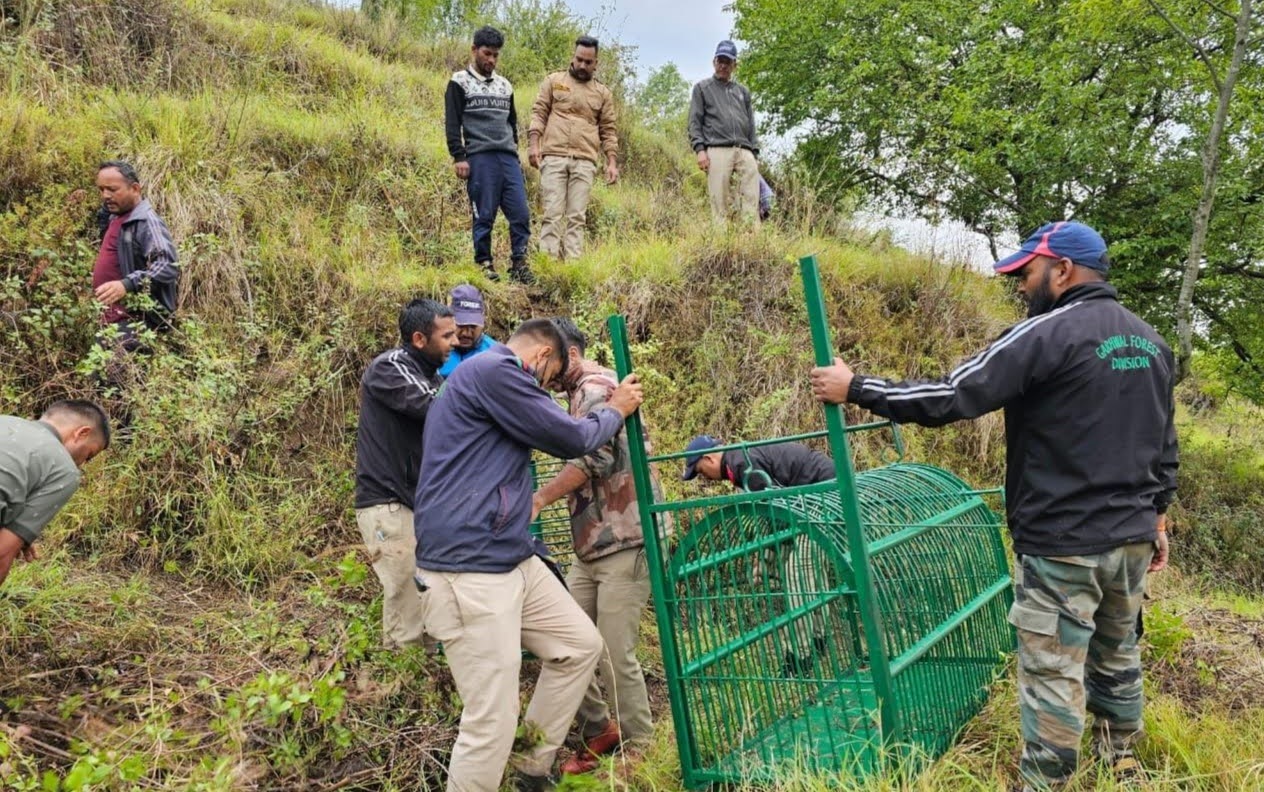 ख़ास ख़बर: गुलदार के हमले के बाद वन विभाग अलर्ट मोड पर, लोगों की सुरक्षा के लिए कसी कमर