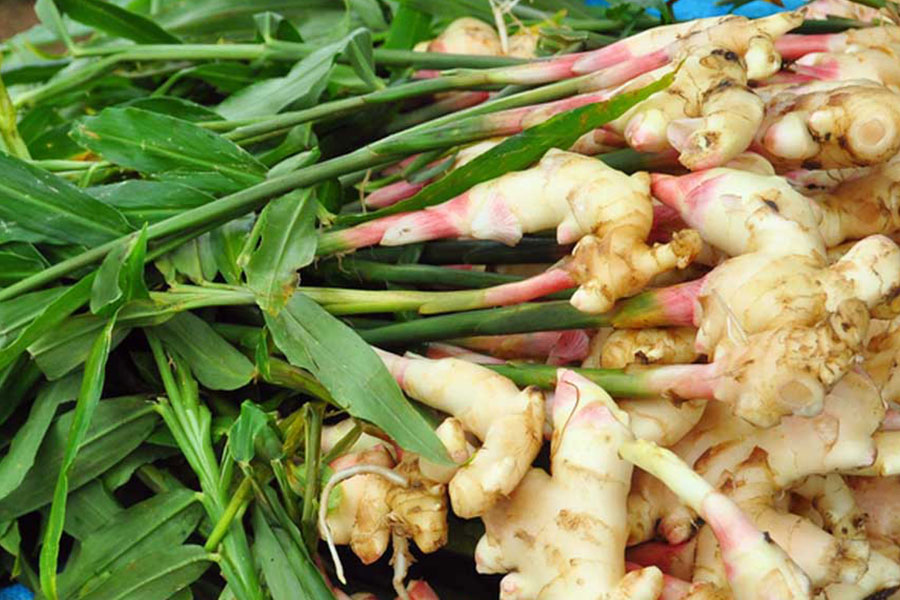 खेती- बाड़ी: मानसून में सब्जियां, हल्दी और अदरक की बुवाई करें किसान, कृषि वैज्ञानिक ने दी सलाह