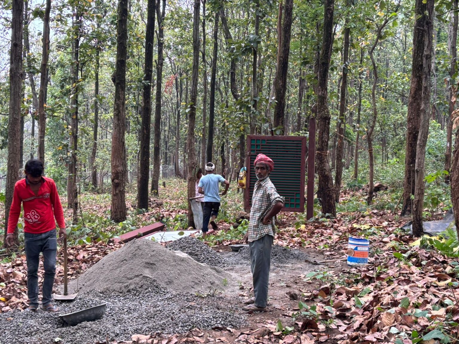 जन आक्रोश: ग्रामीणों ने भू-माफिया का जंगल से कब्जा हटाया,डीएफओ, रेंजर व फारेस्टर को सस्पेंड करने की मांग