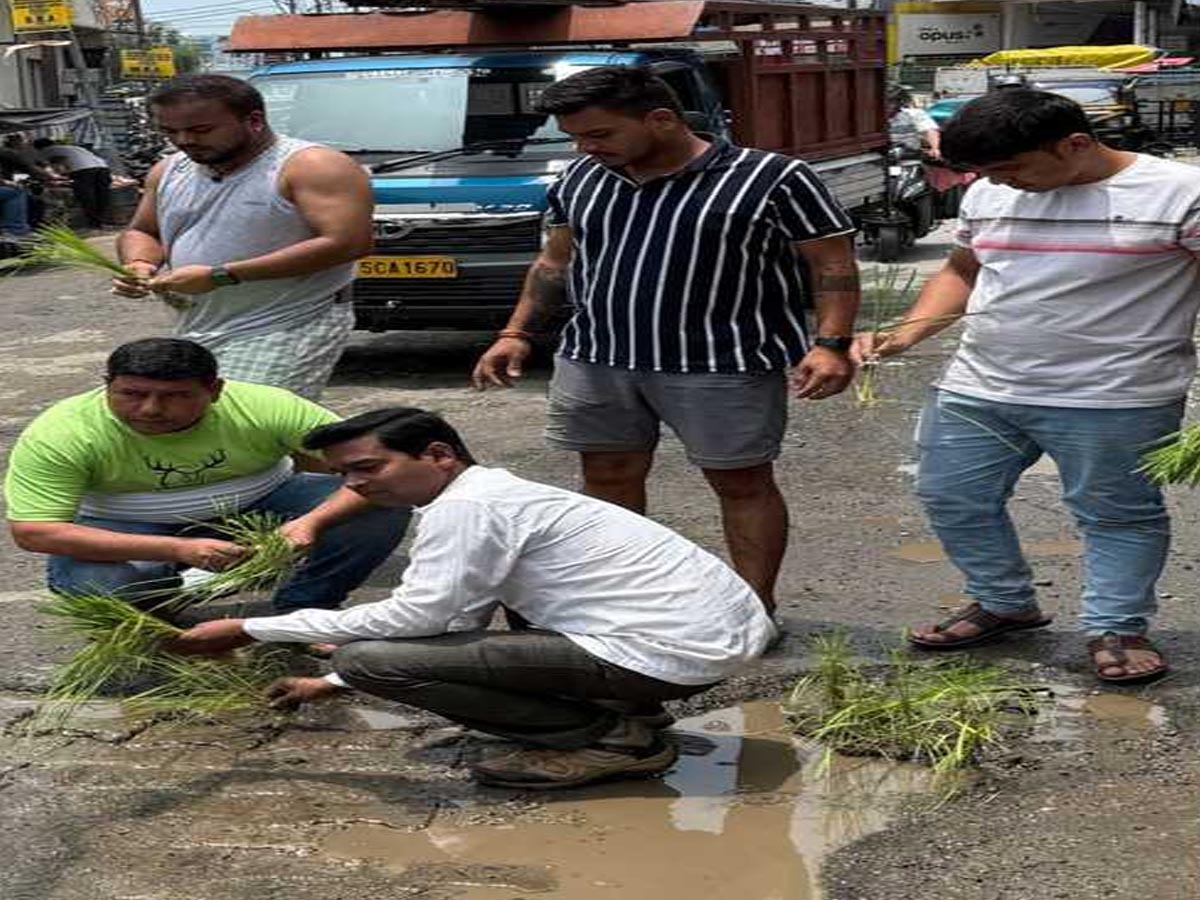 आक्रोश : यूथ कांग्रेस ने सड़क में बने खड्डों में धान की रोपाई कर सड़कों की बदहाली पर जताया रोष 