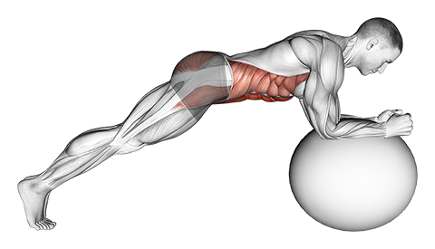 फिटनेस: कोर की ताकत बढ़ाने के लिए करें बॉल क्रंच, इन बातों का जरूर रखें ध्यान