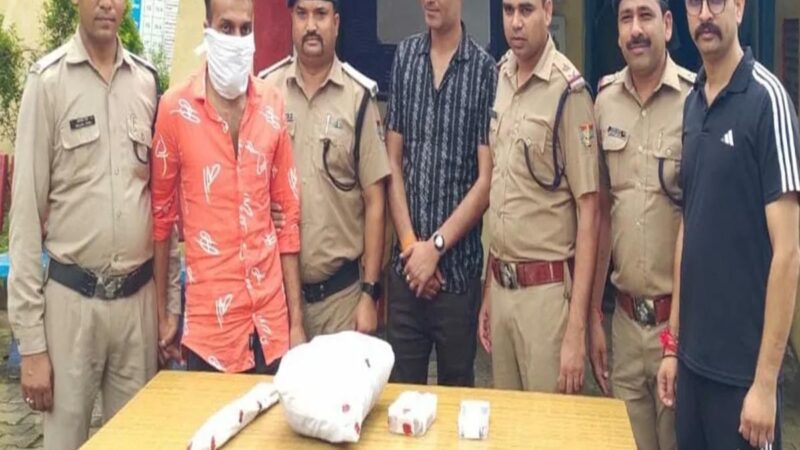 शर्मनाक: बेटा ही निकाला माँ का कातिल, घर में जली अवस्था में मृत मिली वृद्धा की हत्या का खुलासा