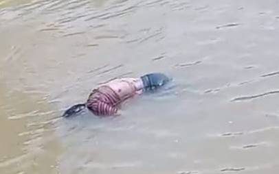 एक्शन: संदिग्ध हालात में युवक का शव बरामद होने  पर चार के खिलाफ हत्या का मुकदमा
