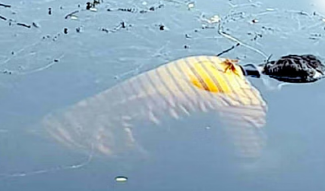 सनसनी: संदिग्ध परिस्थितियों में खेत में तैरता मिला युवक का  शव, जांच में जुटी पुलिस