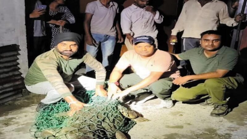 दहशत: देर रात को गांव में घुस आया मगरमच्छ, वन विभाग की टीम ने रेस्क्यू कर गंगा में छोड़ा    