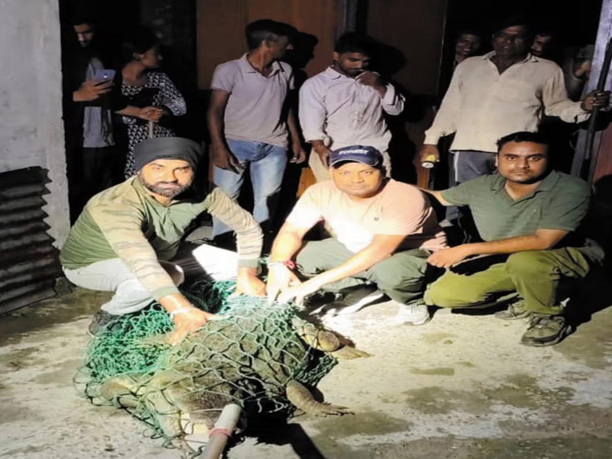 दहशत: देर रात को गांव में घुस आया मगरमच्छ, वन विभाग की टीम ने रेस्क्यू कर गंगा में छोड़ा    