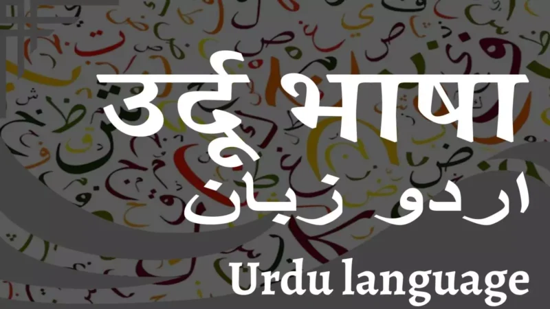 आकलन: भारत की आत्मा और एक दूसरे से जुड़ी भाषाएं हैं उर्दू और हिंदी