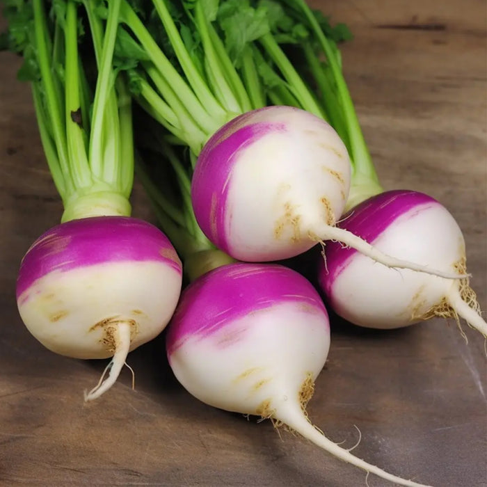 खान-पान: स्वास्थ्य के लिए फायदेमंद है शलजम, जानिए इसके सेवन से होने वाले 5 प्रमुख फायदे