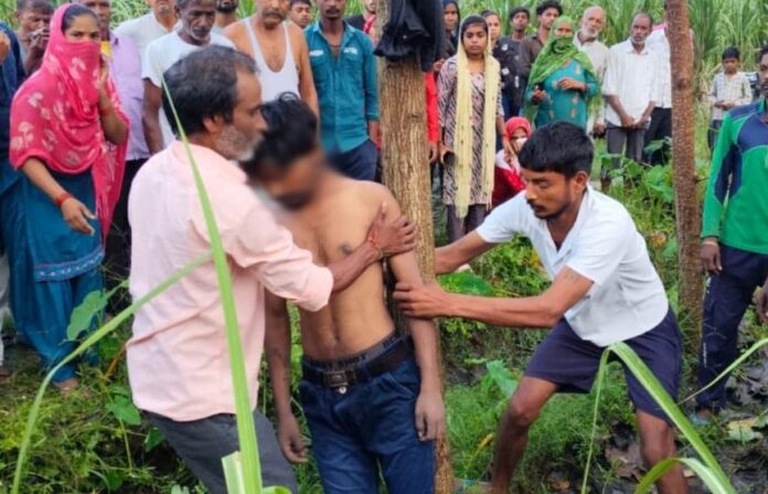 संदेहास्पद: पेड़ से लटका मिला  युवक का शव, रात को खाना खाकर हो गया था लापता