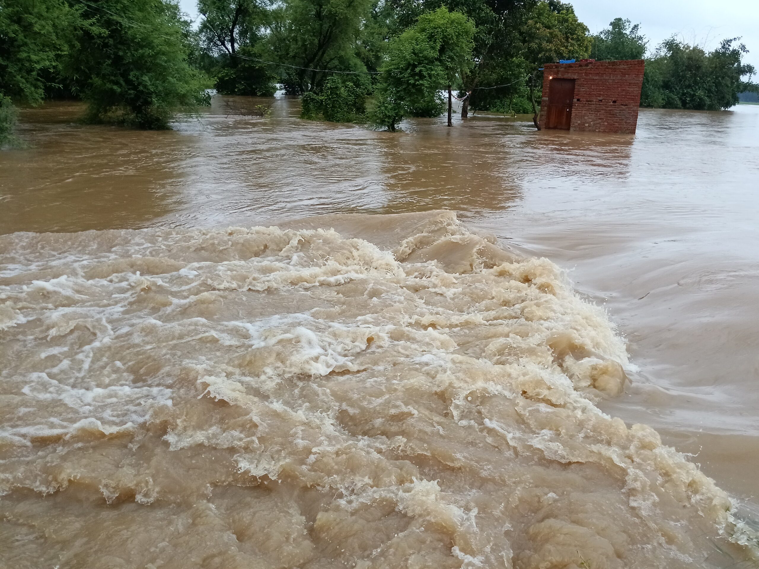 दहशत : त्यूणी में टौंस नदी आई उफान पर, आबादी क्षेत्र खाली करने का अलर्ट जारी