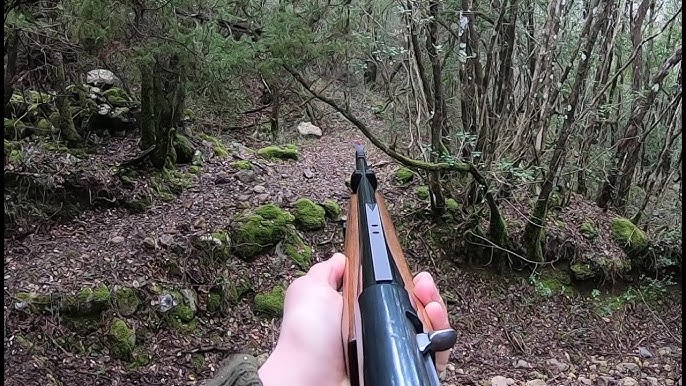 कामयाबी: शिकार करने की फ़िराक में घूम रहे तीन आरोपी चढ़े पुलिस के हत्थे