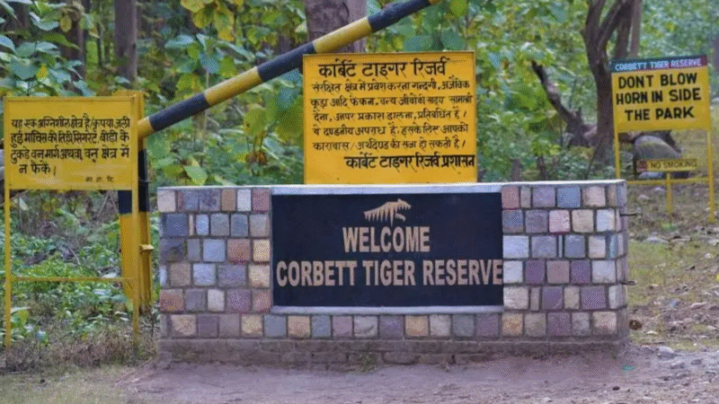 निर्णय: उत्तराखंड के जिम कॉर्बेट टाइगर रिजर्व में अगले आदेश तक सफारी बंद