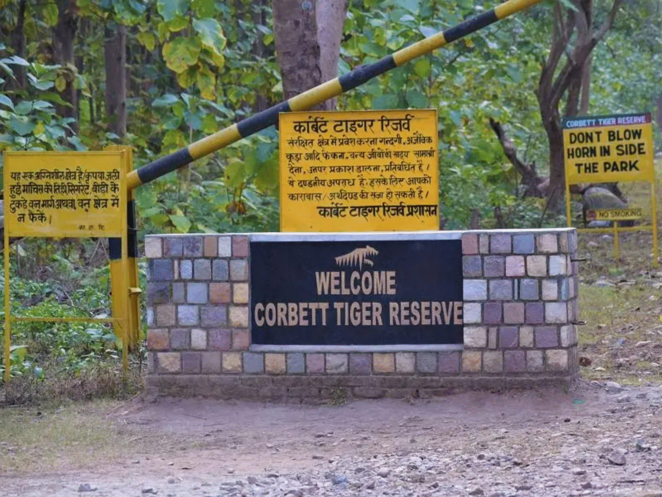 निर्णय: उत्तराखंड के जिम कॉर्बेट टाइगर रिजर्व में अगले आदेश तक सफारी बंद