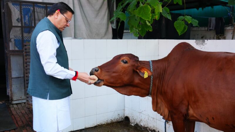 आस्था: गोवर्धन पूजा प्रकृति संरक्षण, मनुष्यों एवं पशुओं के बीच के प्रेम को दर्शाता है: सीएम धामी