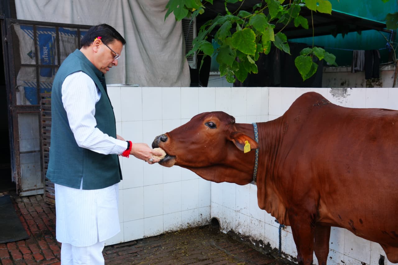 आस्था: गोवर्धन पूजा प्रकृति संरक्षण, मनुष्यों एवं पशुओं के बीच के प्रेम को दर्शाता है: सीएम धामी