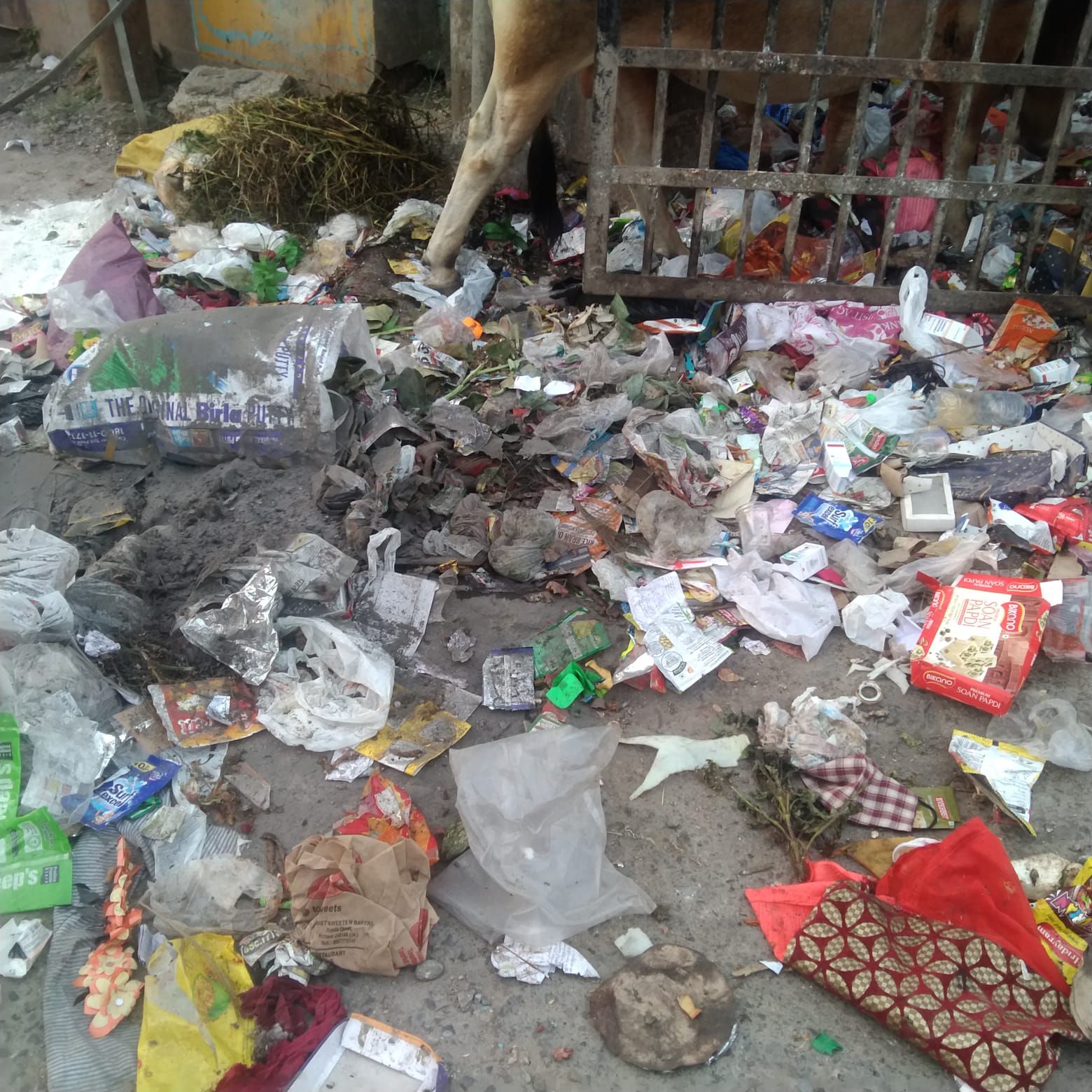 बेपरवाही: नगर आयुक्त बदलते ही सड़कों पर लगने लगे कूड़े का ढेर, नगर निगम बेख़बर