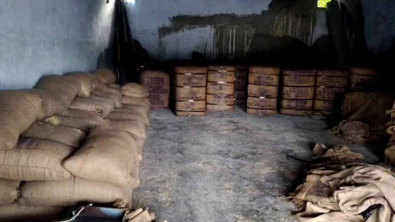 चिंताजनक: खटीमा में धान खरीद पर बारिश ने लगाया ब्रेक, तोल केंद्रो पर पसरा सन्नाटा, मायूस किसान