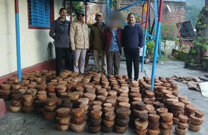 शिकंजा: दो वन तस्कर गिरफ्तार, भारी मात्रा में प्रतिबंधित काजल-काठ लकड़ी बरामद