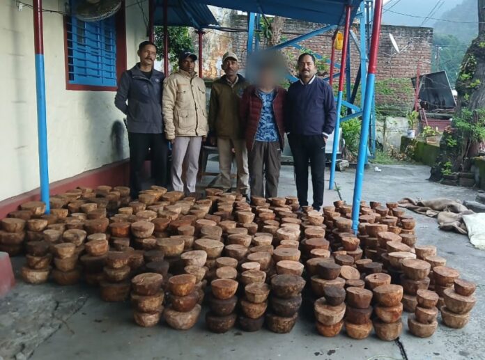 शिकंजा: दो वन तस्कर गिरफ्तार, भारी मात्रा में प्रतिबंधित काजल-काठ लकड़ी बरामद