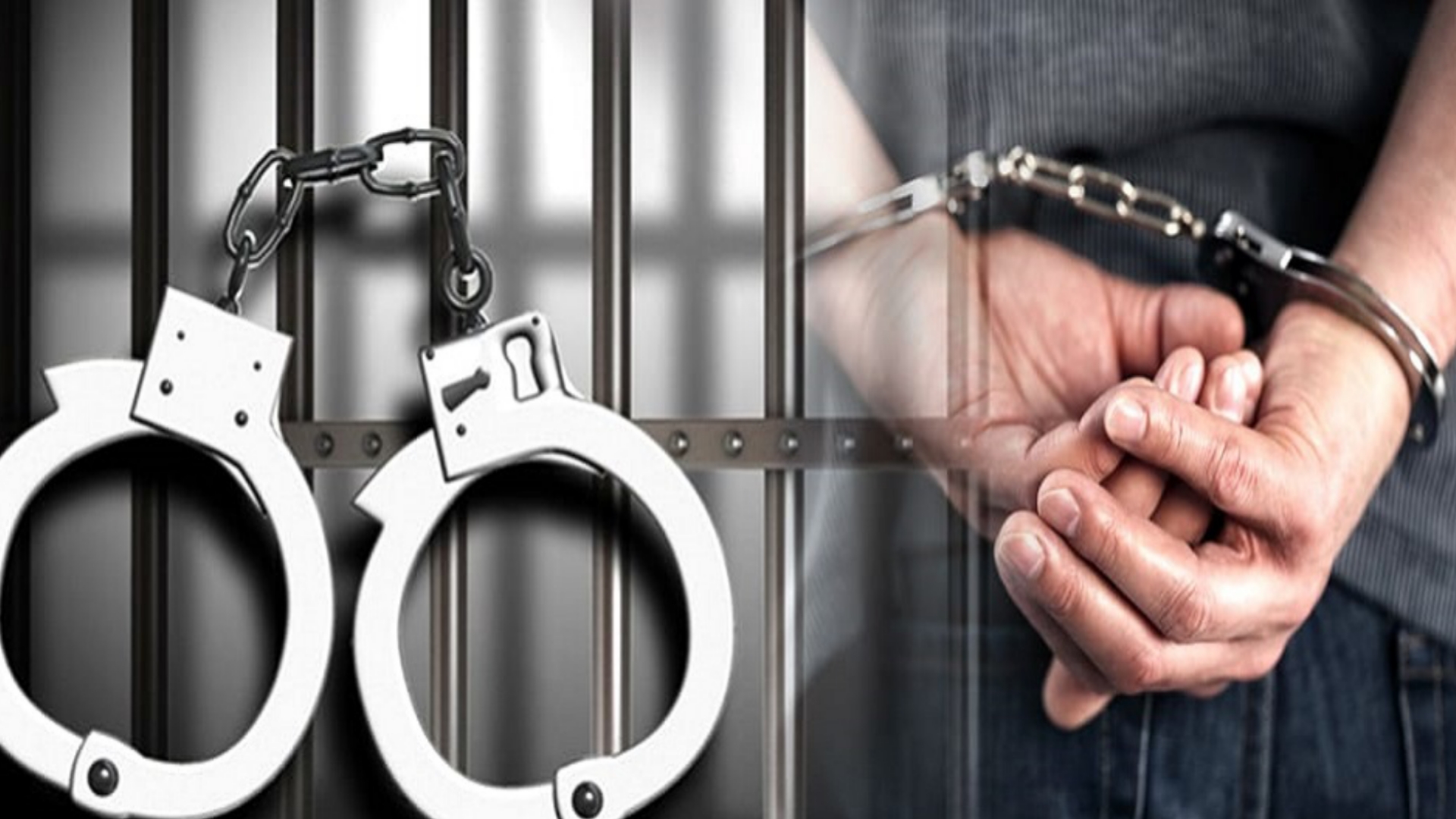 सफलता: पुलिस और एसओजी को मिली बड़ी कामयाबी, टीमों ने पकड़ा नशीली दवा का गोदाम