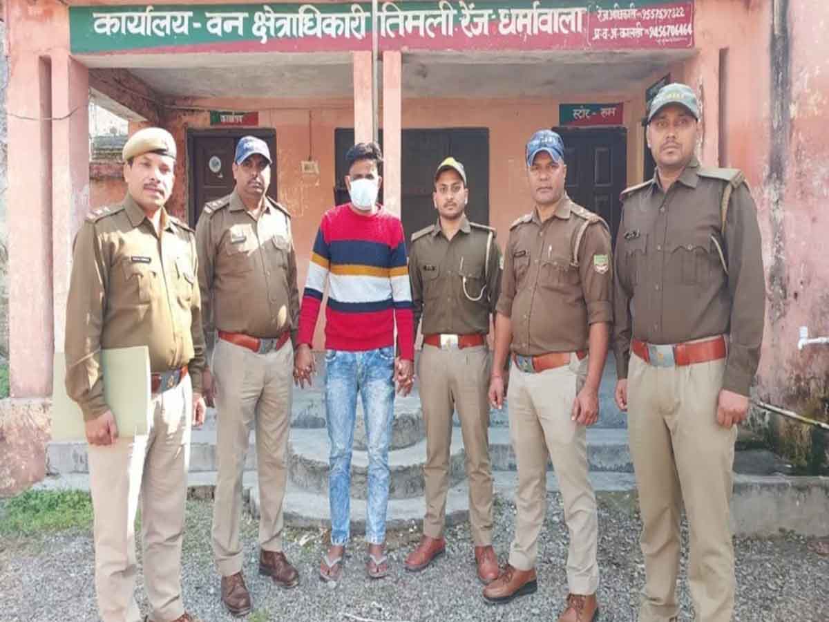 शिकंजा: कीमती लकड़ी की तस्करी में मुख्य आरोपी गिरफ्तार, दूसरे की तलाश में जुटी है पुलिस 