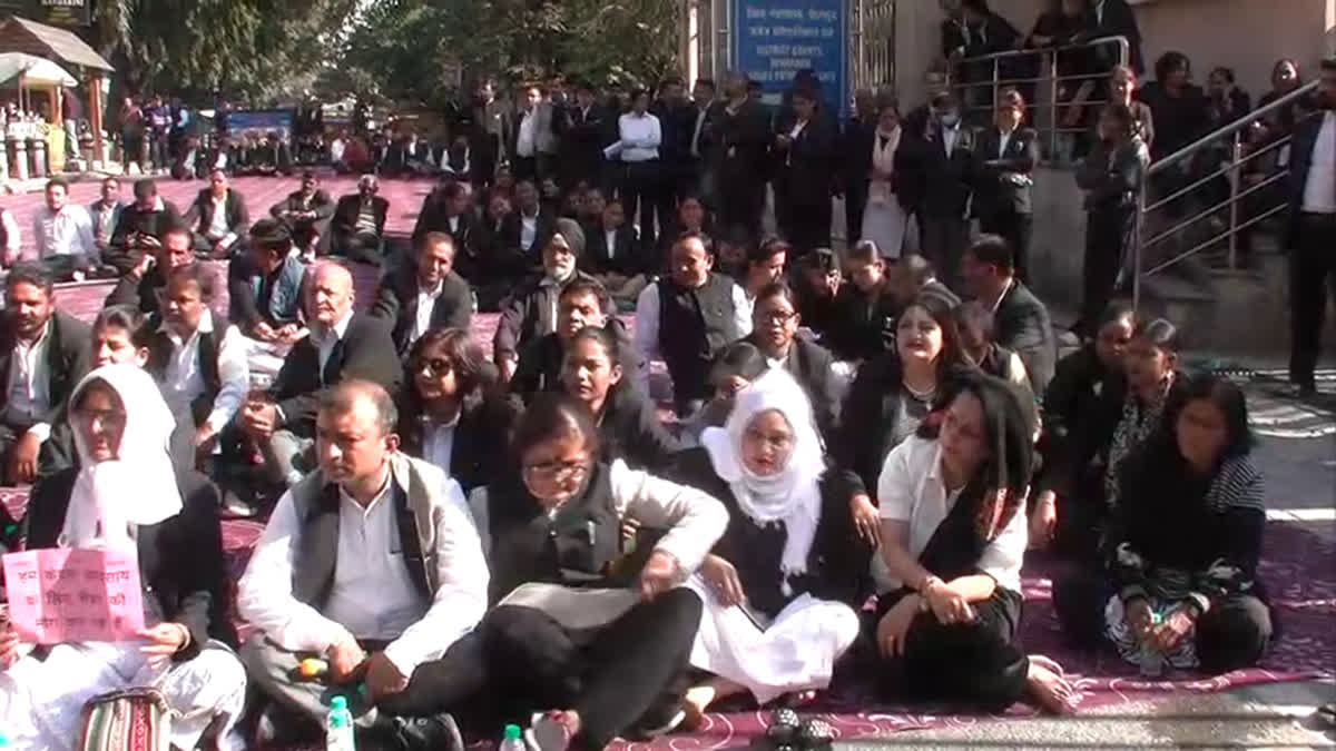 संघर्ष:  वकीलों का धरना आठवें दिन भी जारी, चेंबर निर्माण के लिए भूमि देने की कर रहे हैं मांग