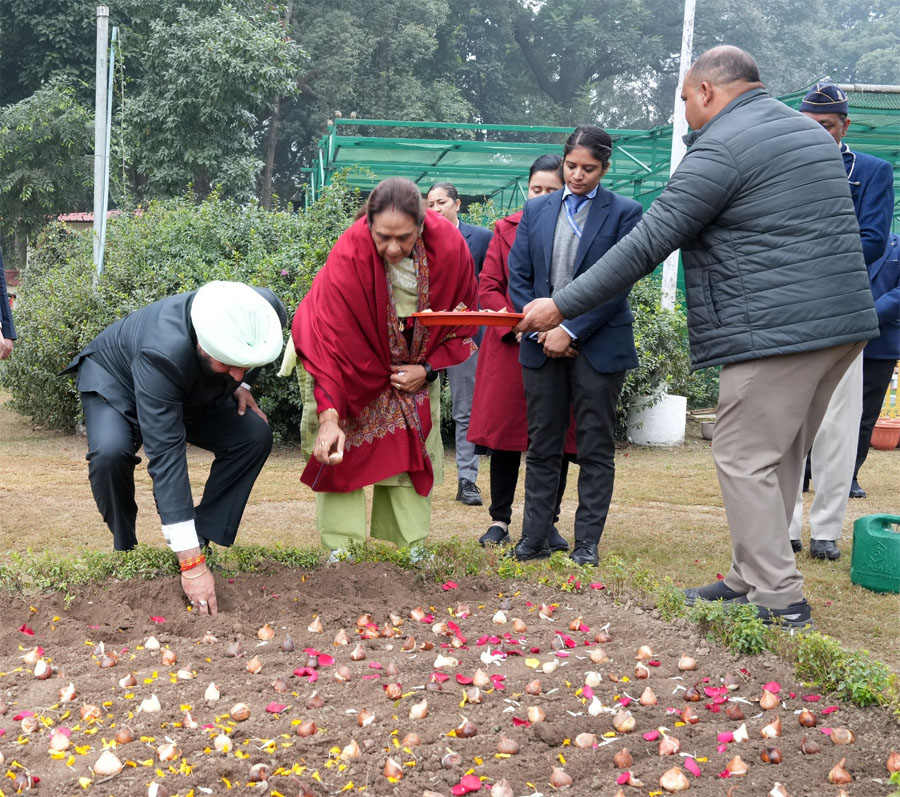 लोक भवन परिसर में ट्यूलिप बल्ब का रोपण