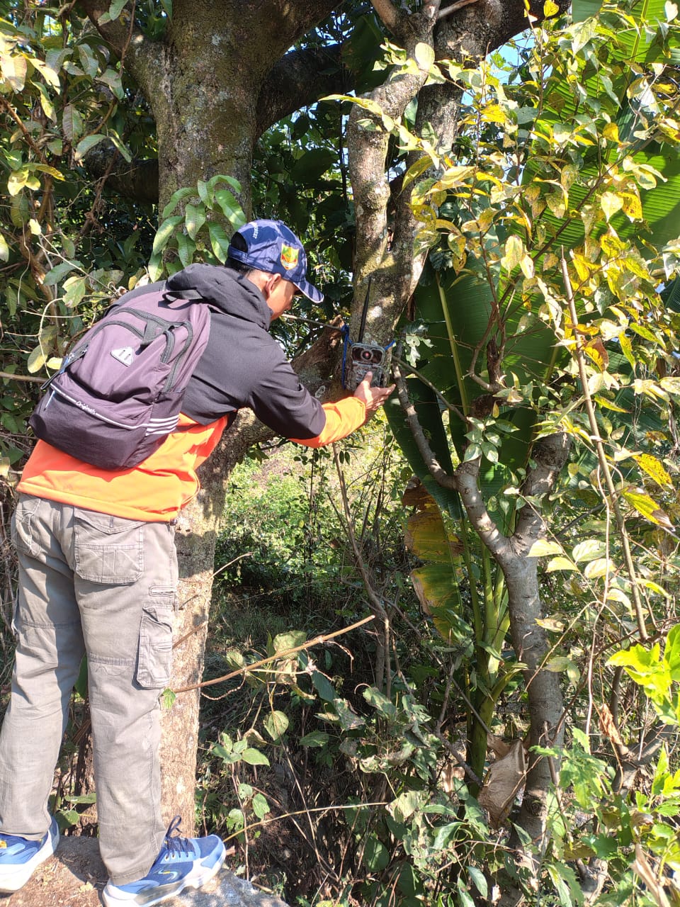 चौकसी: भालू से बचाव के लिए वन विभाग ने गठित की टीम, लगातार गश्त कर आम जन को कर रही जागरूक