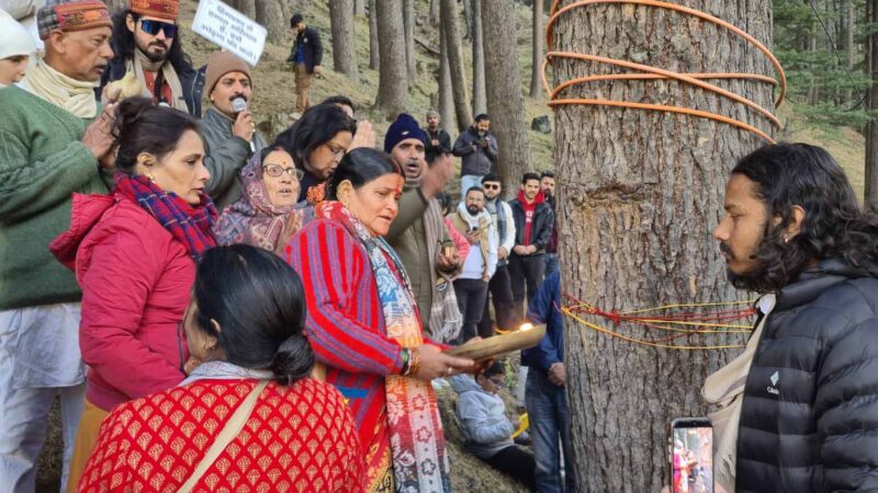 राहत: गंगोत्री हाईवे पर अब नहीं कटेंगे 6 हजार पेड़; प्रभावी साबित हुआ “पेड़ों पर रक्षा सूत्र” आंदोलन