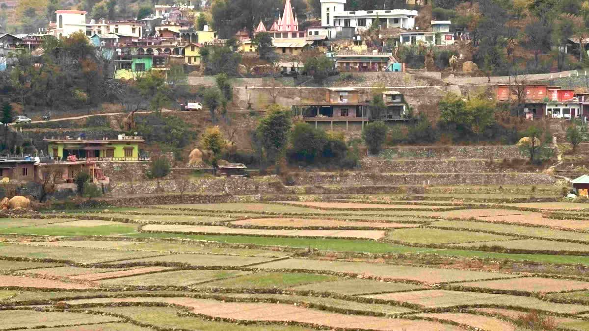 दुष्प्रभाव: बारिश न होने के कारण पर्वतीय क्षेत्रों में बढ़ने लगी किसानों की चिंता
