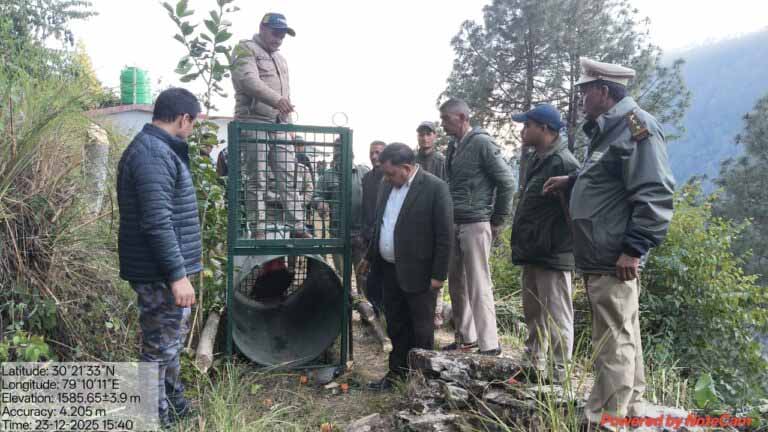 चिंता: गुलदार व भालू के बढ़ते हमलों से लोगों में भारी दहशत, बैठक में मानव-वन्यजीव संघर्ष पर उबाल