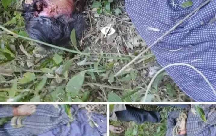 दहशत : ओखलकांडा में गुलदार का आतंक; महिला को बनाया निवाला, लोगों ने लगाई सुरक्षा की गुहार