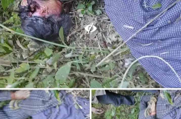 दहशत : ओखलकांडा में गुलदार का आतंक; महिला को बनाया निवाला, लोगों ने लगाई सुरक्षा की गुहार