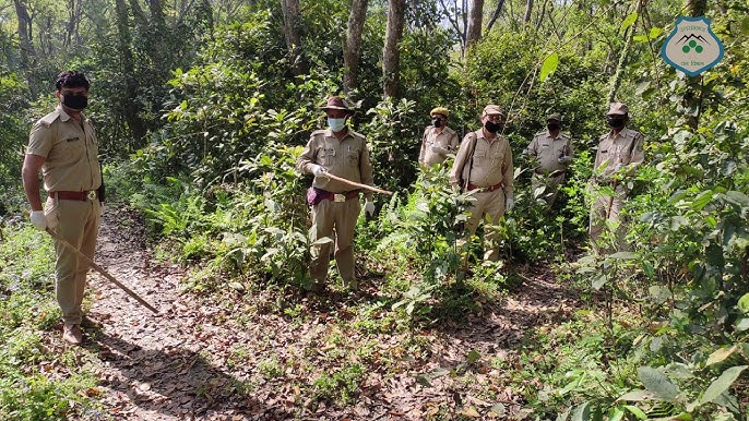 चौकसी: गढ़वाल के पोखड़ा ब्लॉक के देवराड़ी में वन विभाग ने बढ़ाई गश्त, गतिविधियों पर कड़ी नज़र