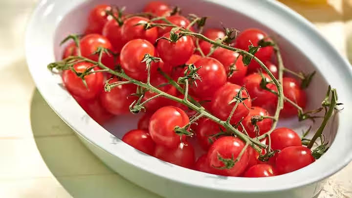 खान-पान: स्वास्थ्य के लिए लाभदायक है चेरी टमाटर, जानिए इसके 5 फायदे