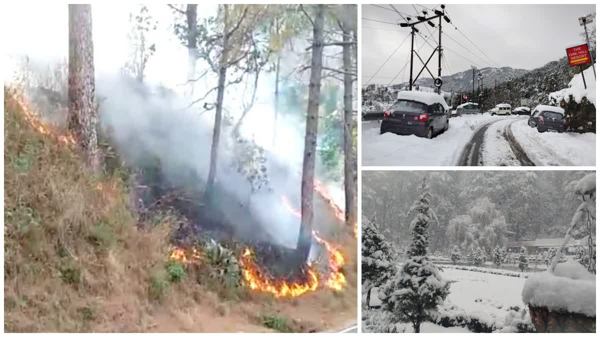 उत्तराखंड: मौसम की मेहरबानी से थमीं वनाग्नि की घटनाएं, पर्यावरण को भी मिली संजीवनी