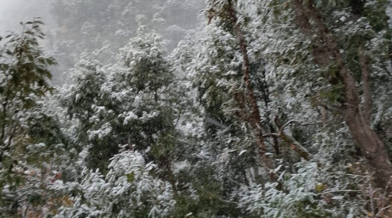 बारिश-बर्फबारी: तापमान में भारी गिरावट से जनजीवन अस्त-व्यस्त; ठंड का प्रकोप बढ़ा, अलाव का सहारा ले रहे लोग