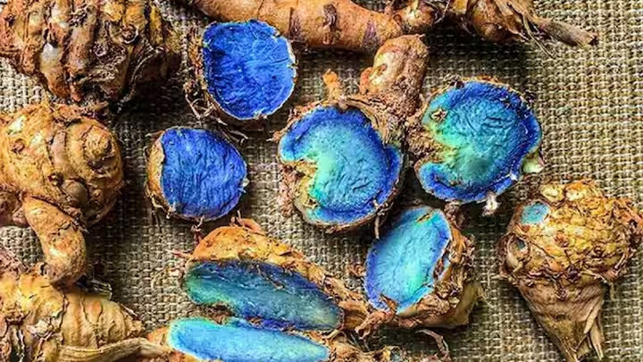 खान-पान: भारत में पीली के साथ-साथ मिलती है नीली हल्दी, जानिए इस दुर्लभ मसाले के फायदे