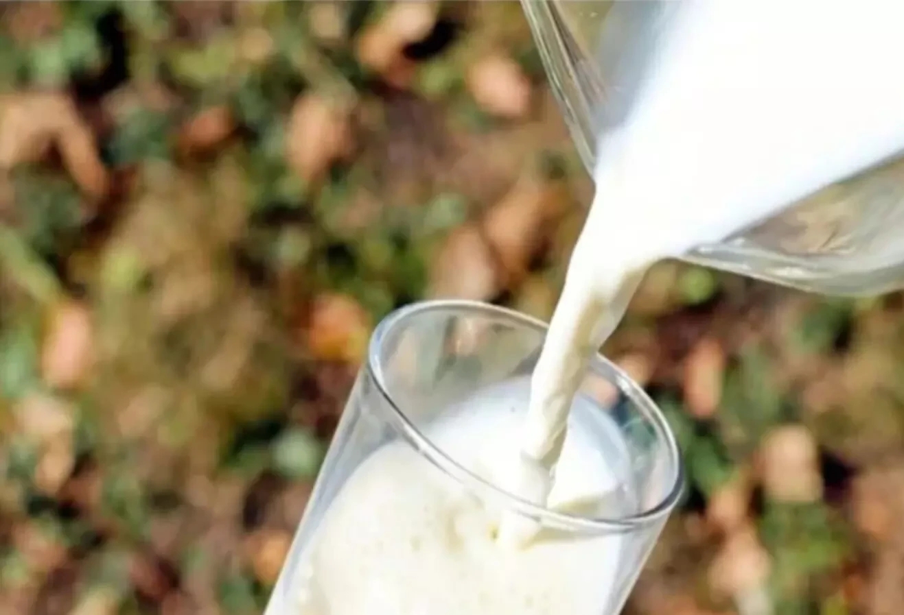 कहर: मिलावटी दूध पीकर 48 घंटे के अंदर किडनी फेल होने से 4 की मौत, 12 अस्पताल में भर्ती