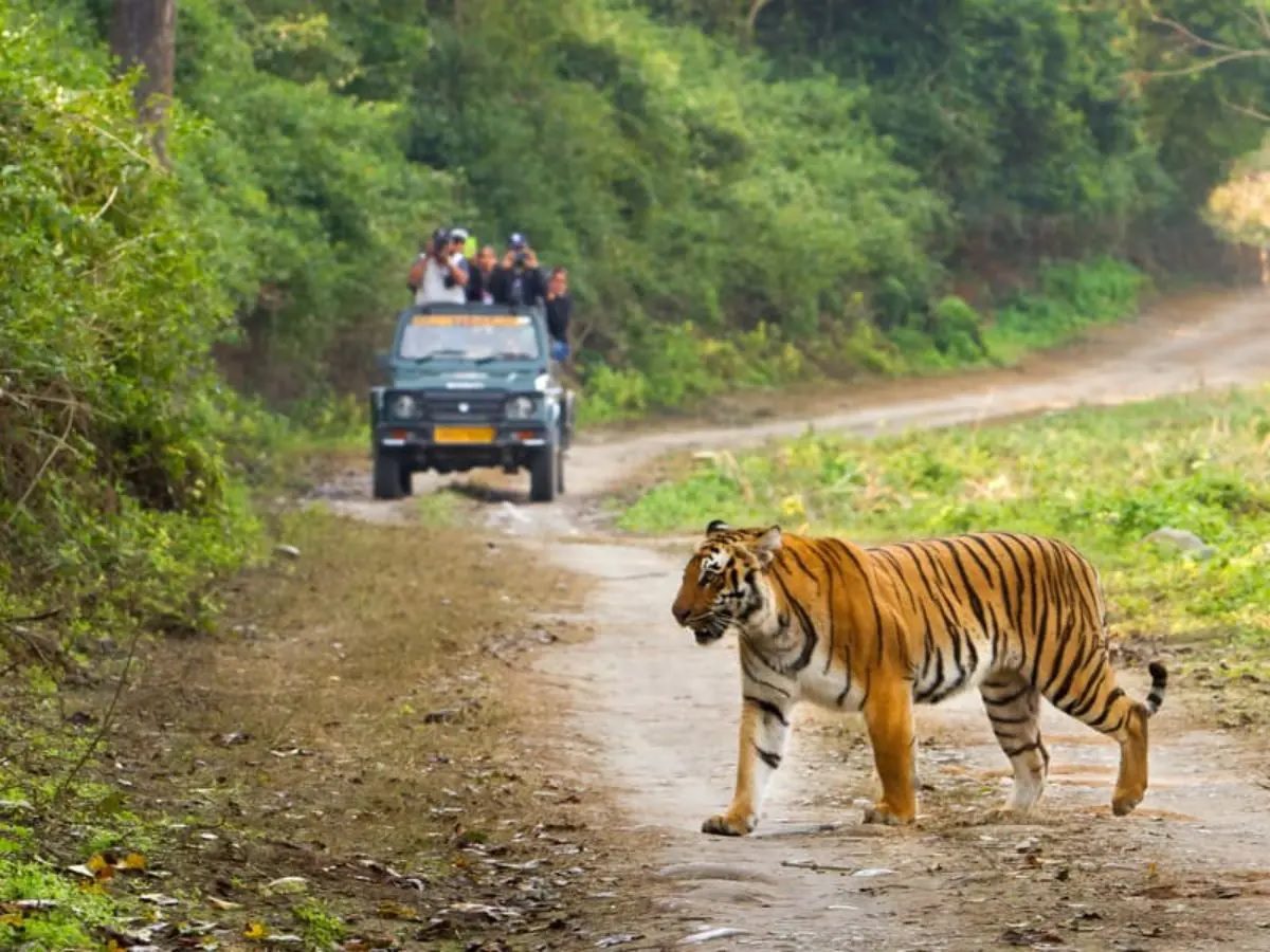 होली पर तीन और चार मार्च को बंद रहेंगे कॉर्बेट के सभी पर्यटन जोन