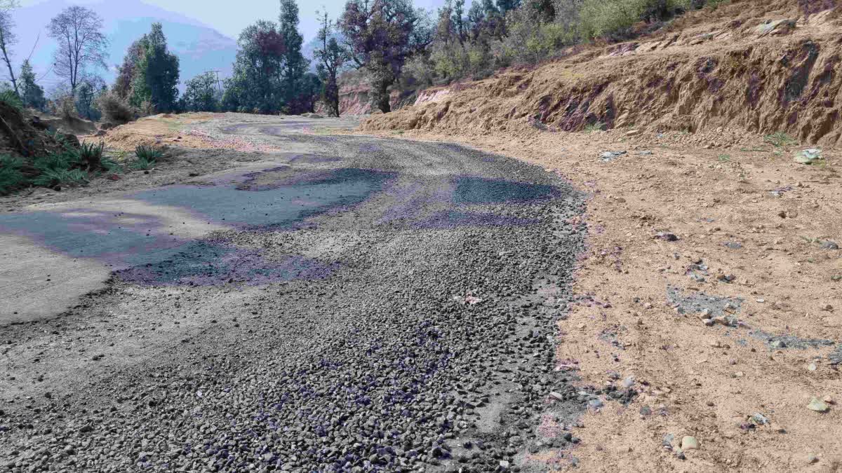 आक्रोश: परवाड़ी में एक माह में ही सड़क से उखड़ने लगा डामर, गुस्साए लोगों ने प्रदर्शन की दी चेतावनी